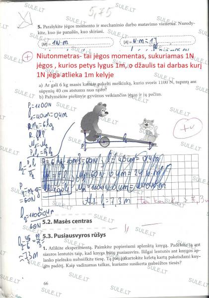 66 puslapis