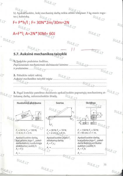 75 puslapis