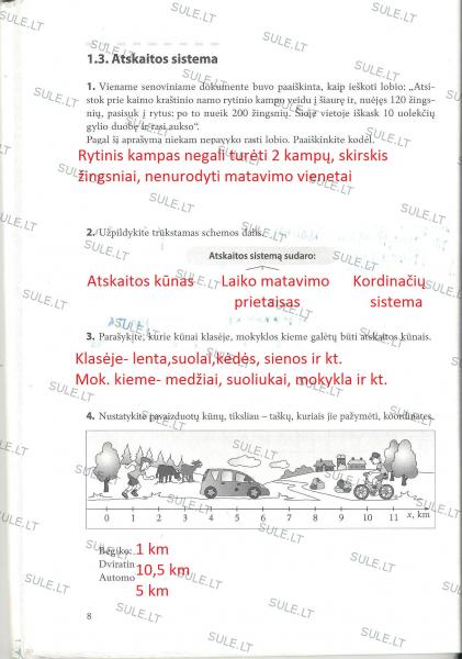 8 puslapis