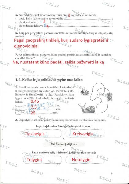 9 puslapis