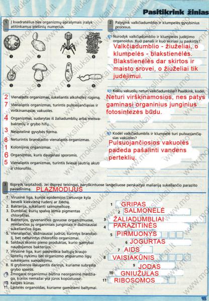 15 Puslapis