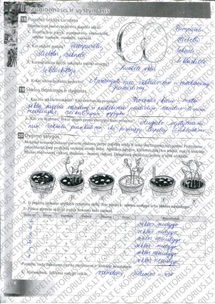 8 Puslapis