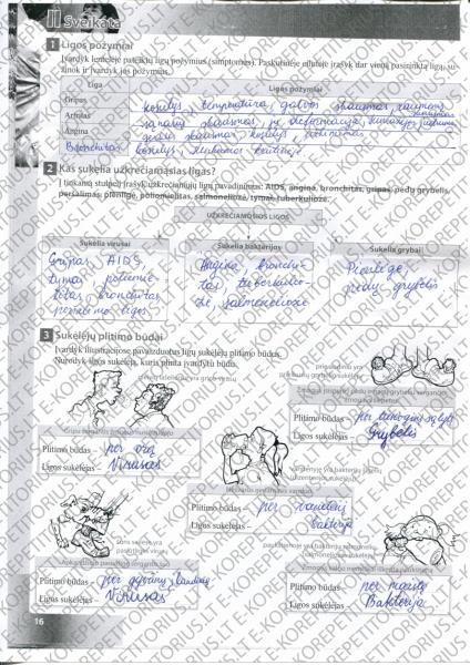 16 Puslapis