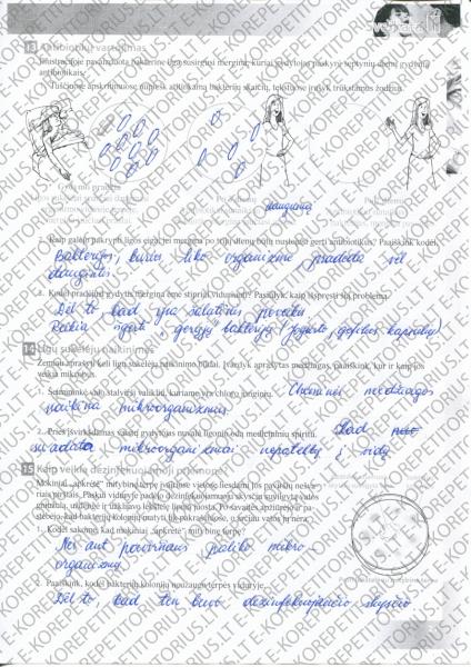 21 Puslapis