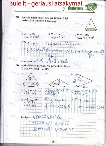 31 Puslapis