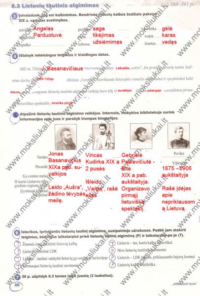 20 puslapis