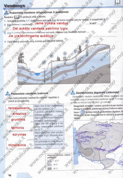 36 Puslapis