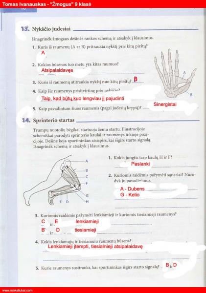 16 puslapis