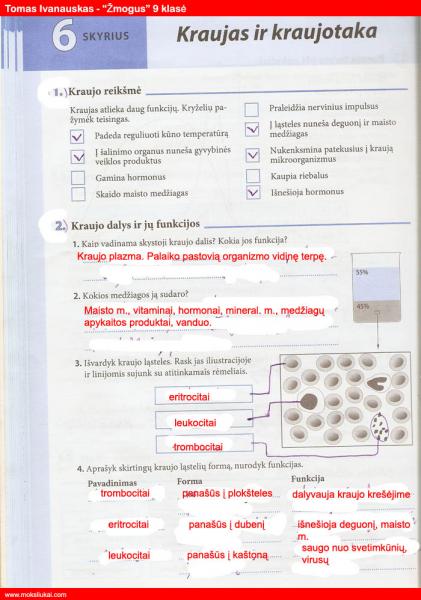 26 puslapis