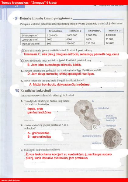 28 puslapis