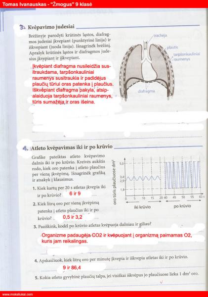 34 puslapis