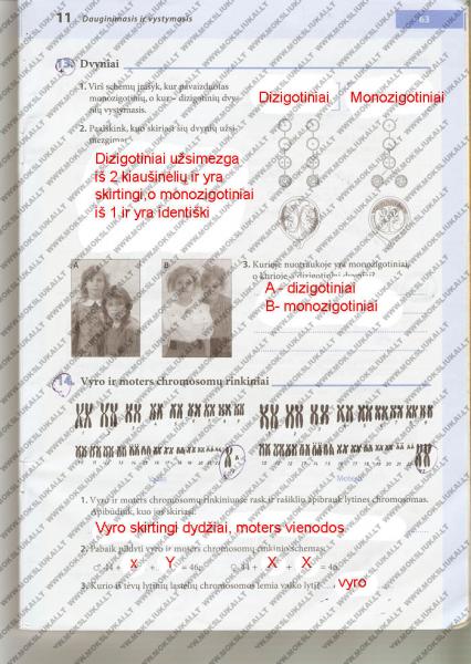 63 puslapis