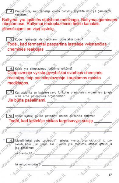 17 Puslapis