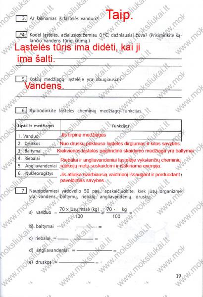 19 Puslapis