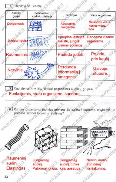22 Puslapis