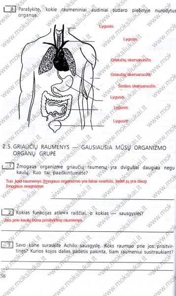 58 Puslapis
