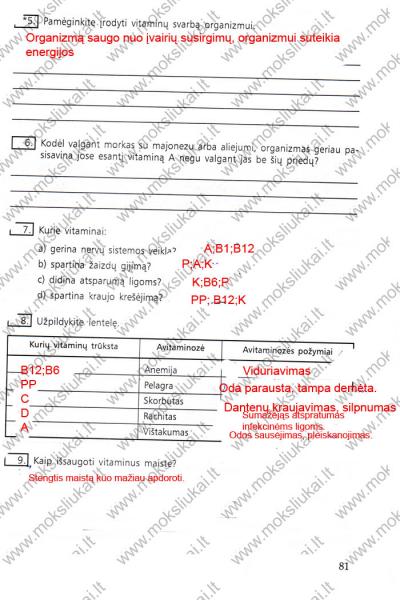 81 Puslapis
