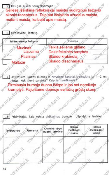 84 Puslapis