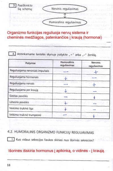 18 Puslapis