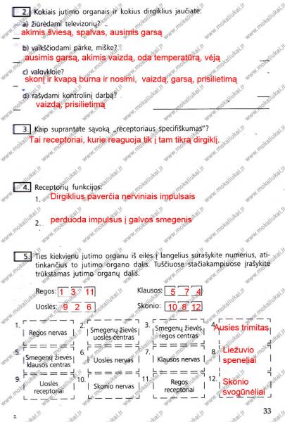 33 Puslapis