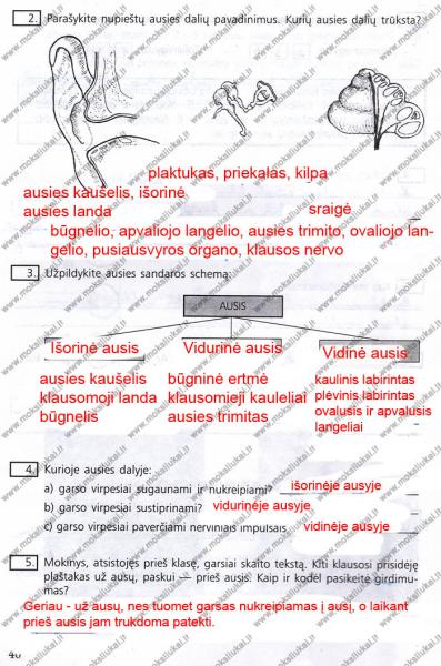 40 Puslapis