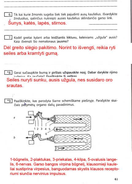 41 Puslapis