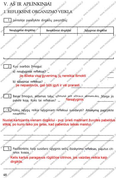 48 Puslapis
