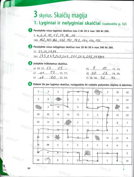 26 Puslapis