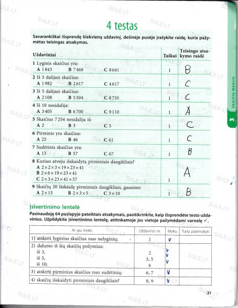 31 Puslapis