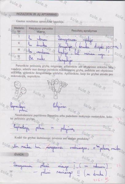16 Puslapis