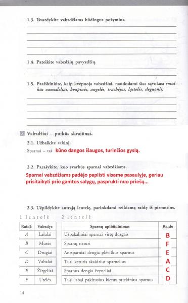 14 Puslapis