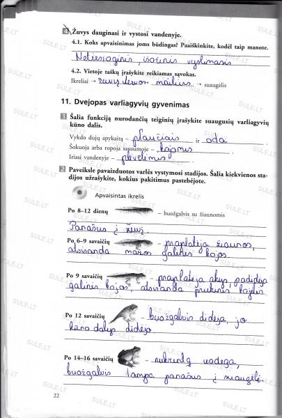 22 Puslapis