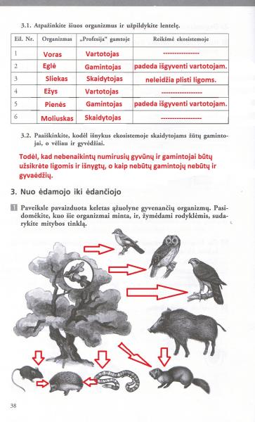 38 Puslapis