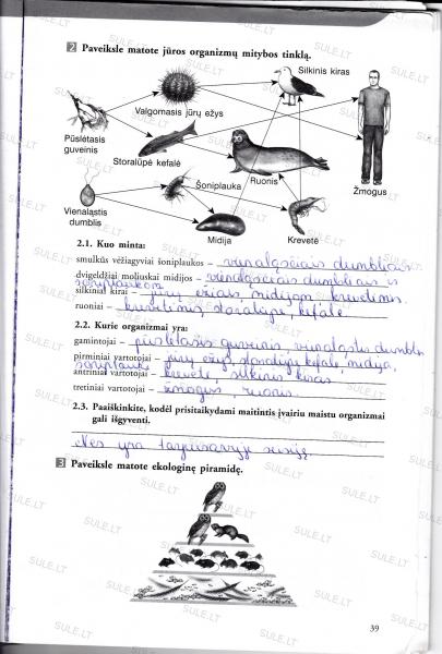 39 Puslapis