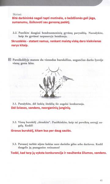41 Puslapis