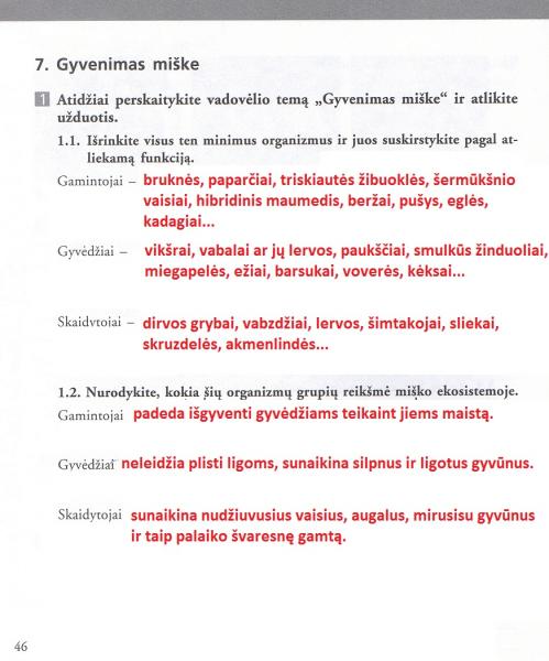 46 Puslapis