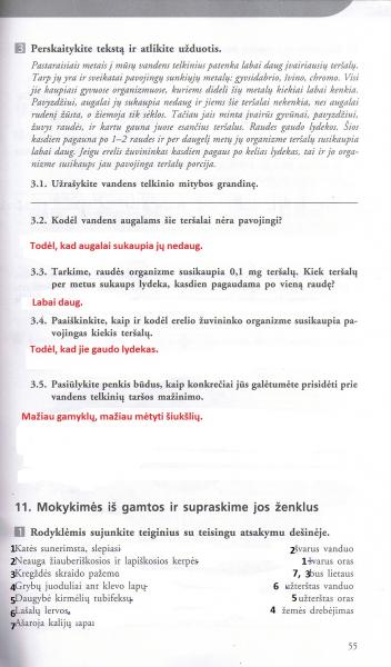 55 Puslapis