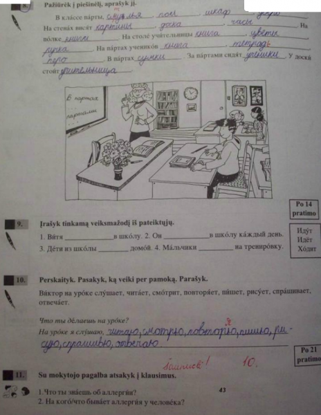 43 Puslapis