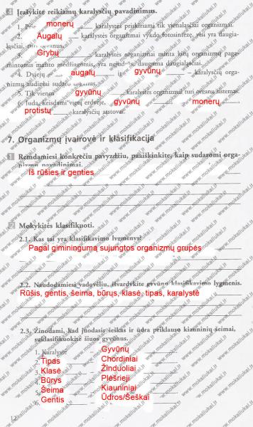 12 Puslapis