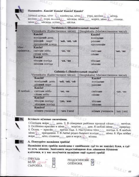 49 Puslapis