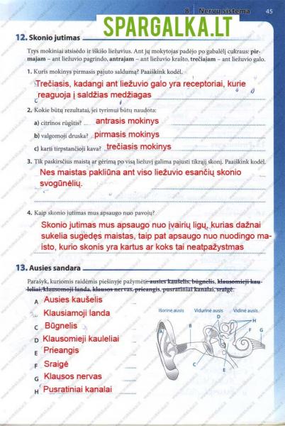 45 Puslapis
