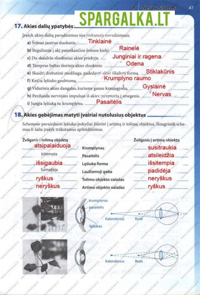 47 Puslapis