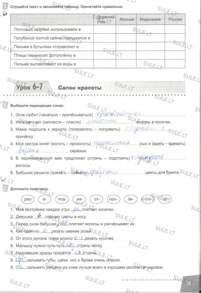 29 Puslapis