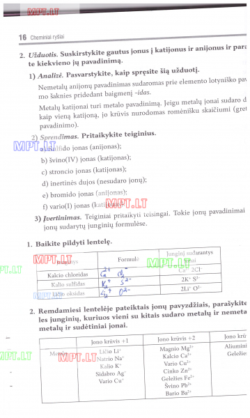 16 Puslapis