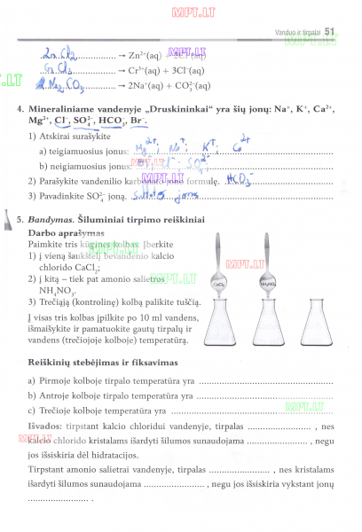 51 Puslapis