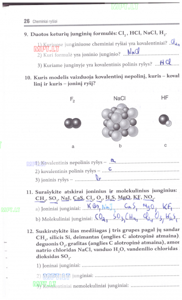 26 Puslapis