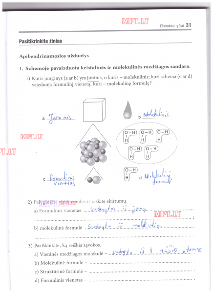 31 Puslapis
