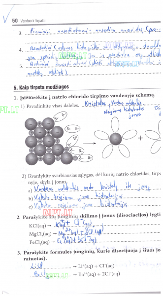 50 Puslapis