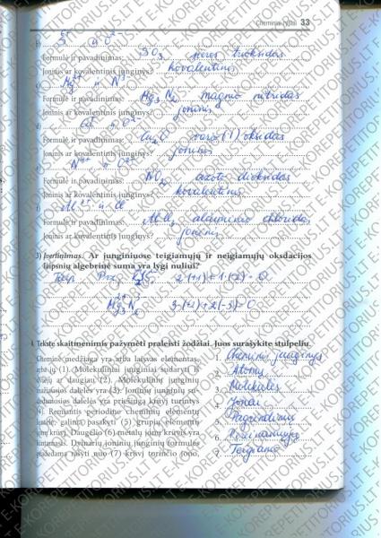 33 Puslapis