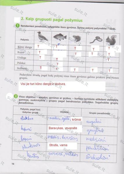 16 Puslapis